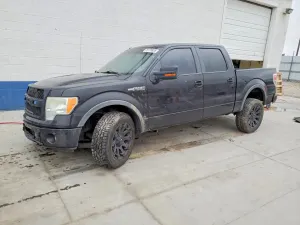 Ford F-150 5.4L 8 2010