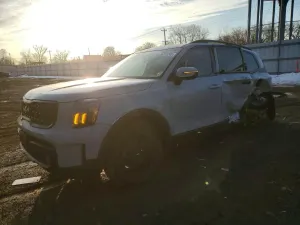 Kia Telluride SX 3.8L 6 2024