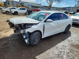 Kia Cerato / Forte / K3 FE 2.0L 4 2019