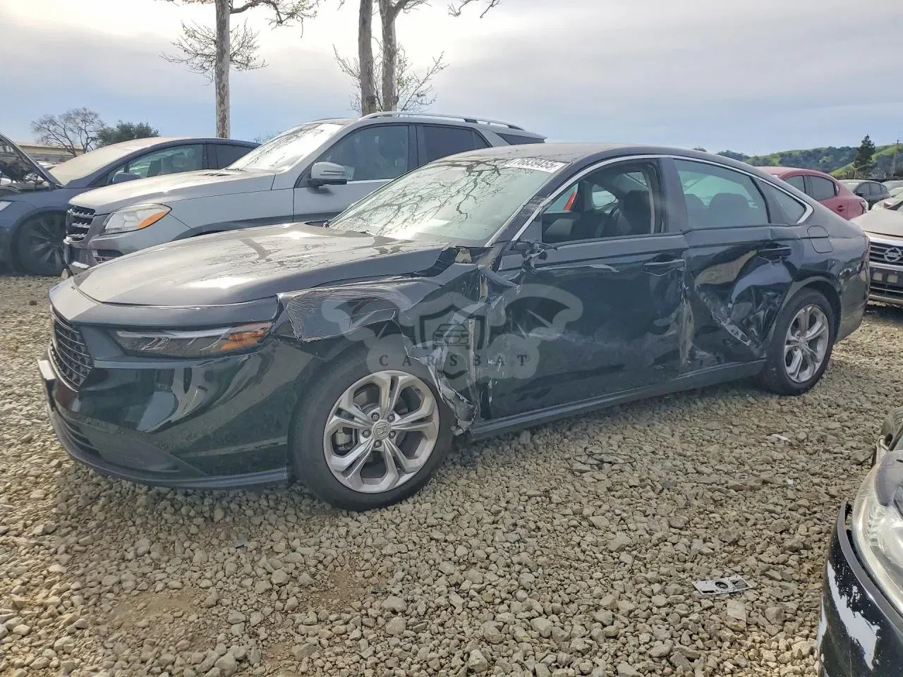 Honda Accord 1.5L 4 2025