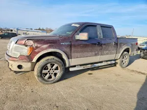 Ford F-150 SUPERCREW 5.4L 8 2010