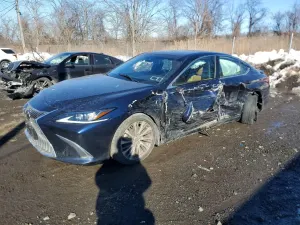 Lexus ES 2.5L 4 2021