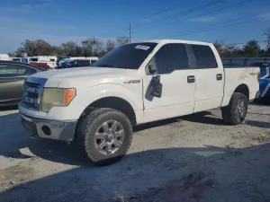 Ford F-150 SUPERCREW 5.0L 8 2013