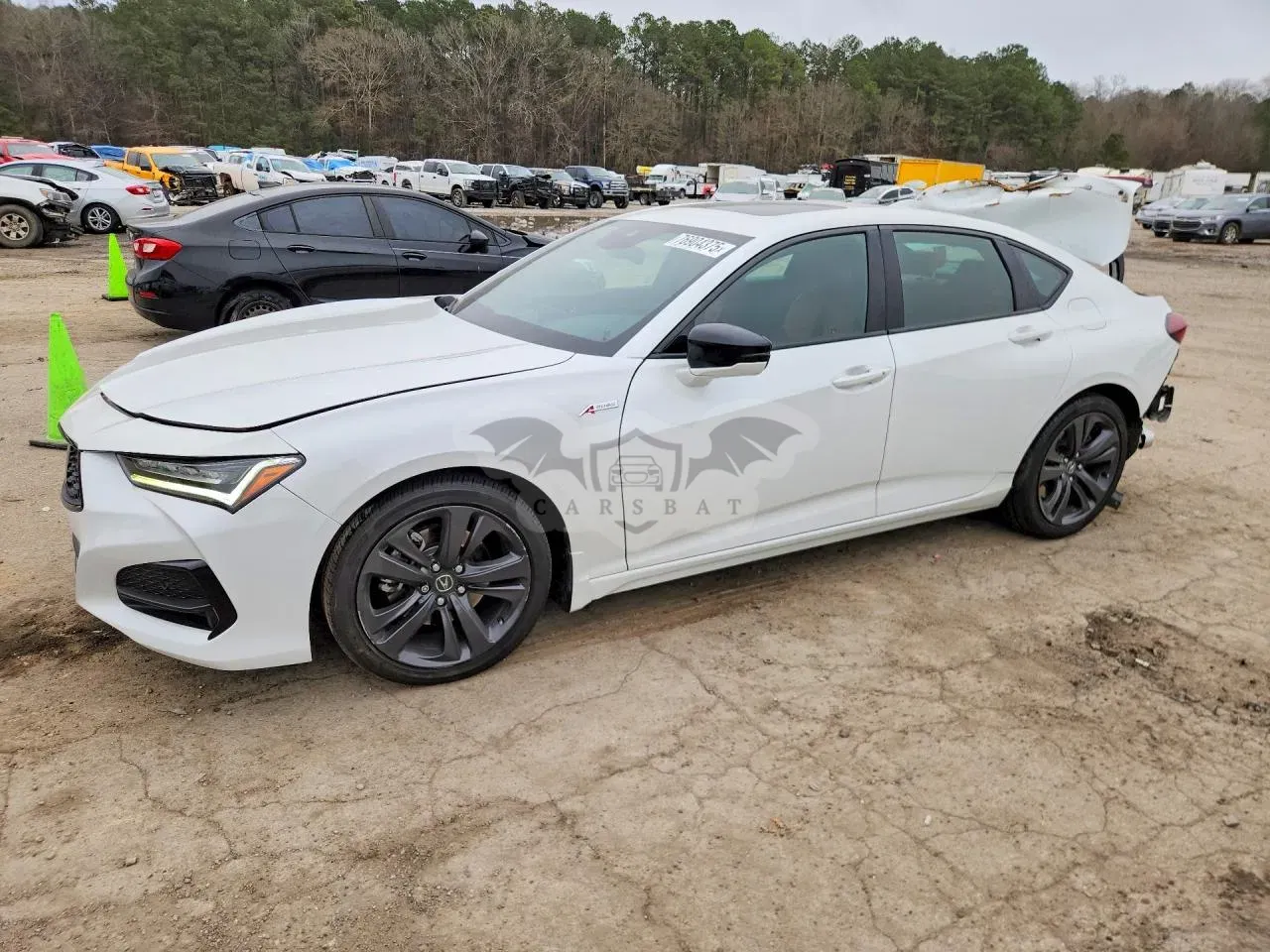 Acura TLX TECH A 2.0L 4 2023