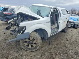 Ford F-150 4.6L 8 2010