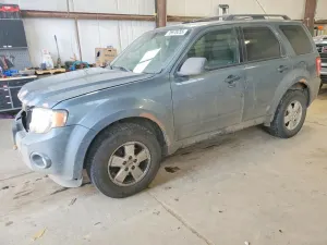 Ford Escape XLT 2.5L 4 2010