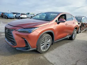 Lexus NX 350 LUXURY 2.4L 4 2025