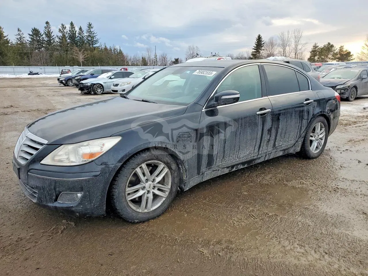 Hyundai Genesis 3.8L 6 2009