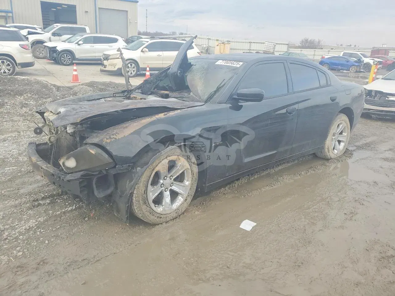 Dodge Charger 5.7L 8 2013