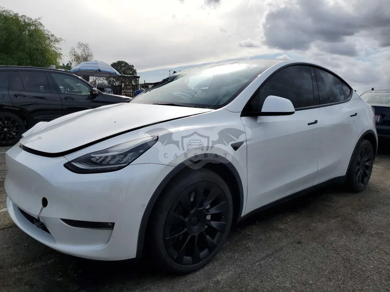 Tesla Model Y 2021