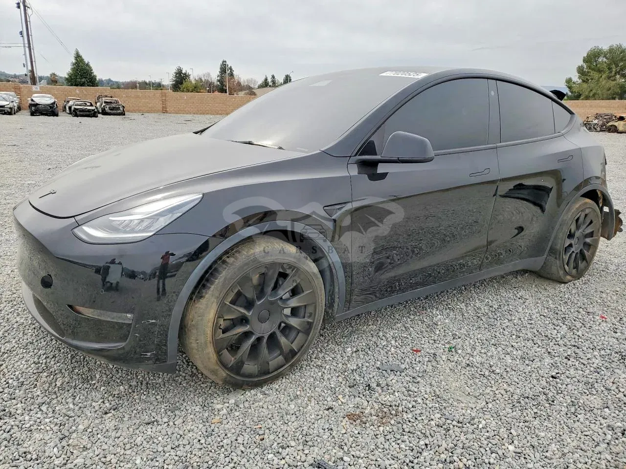 Tesla Model Y 2021