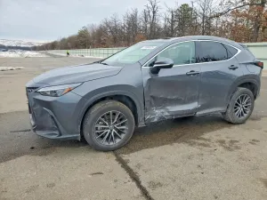 Lexus NX 350H BASE 2.5L 4 2024