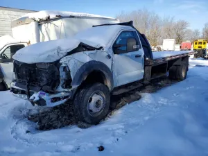 Ford F600 SUPER DUTY 6.7L 8 2024