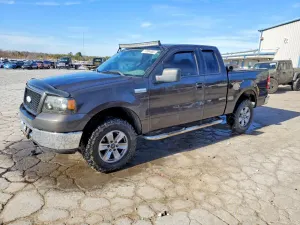 Ford F-150 4.6L 8 2006
