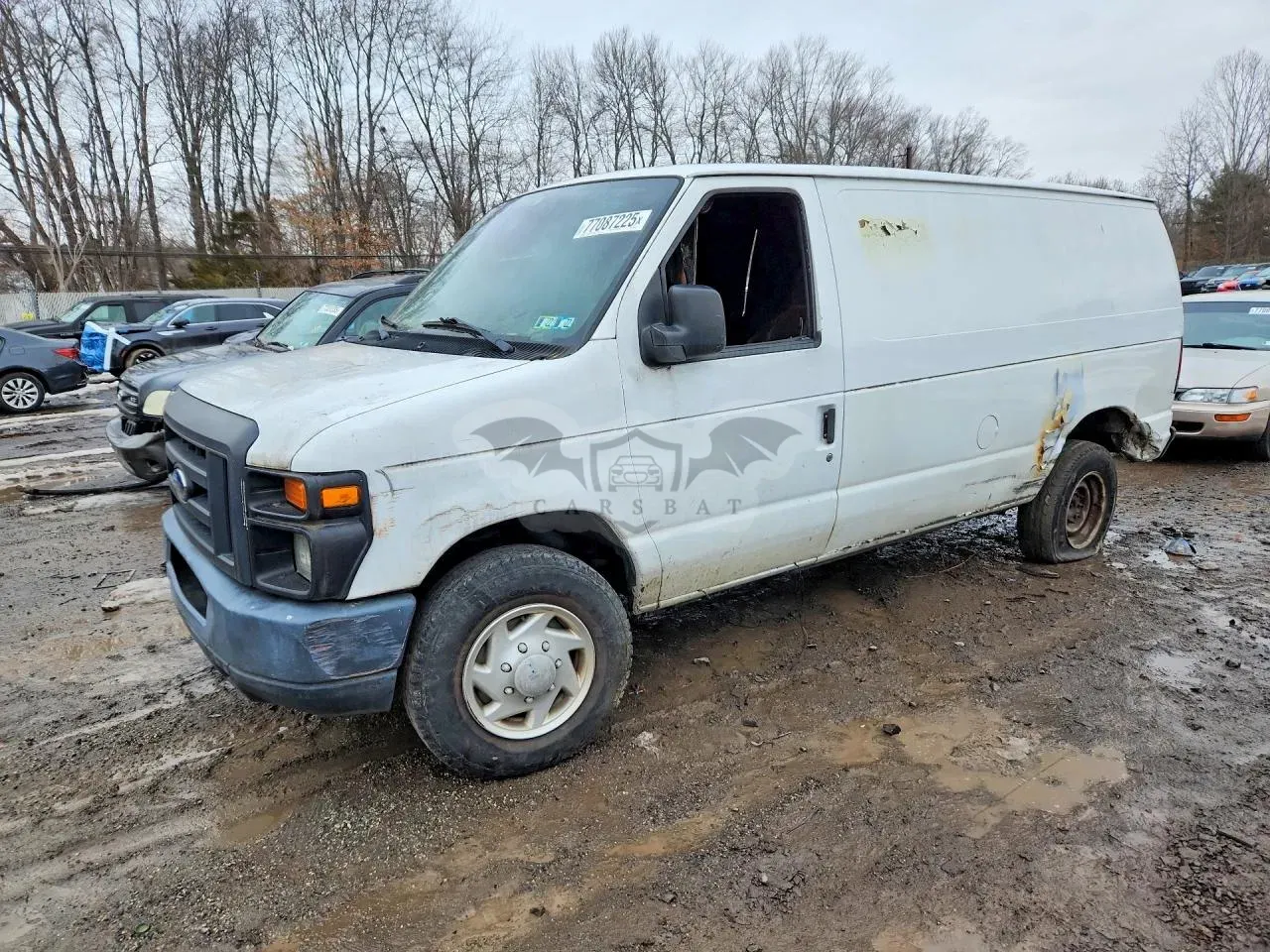 Ford Econoline 5.4L 8 2013