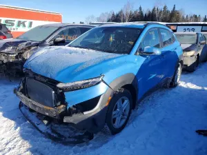 Hyundai Kona 2.0L 4 2022