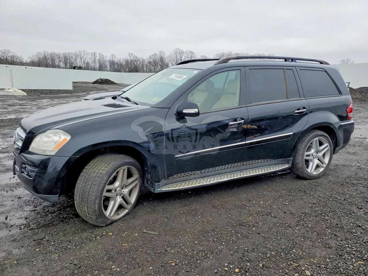 Mercedes-Benz GL 450 4MATIC 4.6L 8 2008
