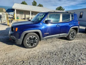 Jeep Renegade TRAILHAWK 2.4L 4 2016