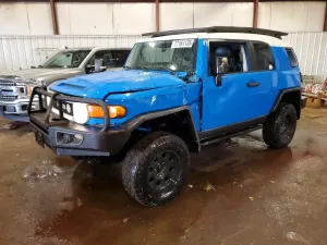 Toyota FJ Cruiser 4.0L 6 2007