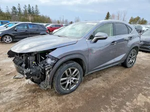 Lexus NX 2.0L 4 2021