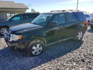 Ford Escape XLT 2.5L 4 2010