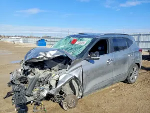 Kia Seltos 2.0L 4 2023