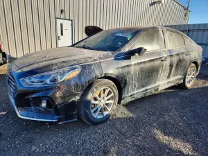 Hyundai Sonata 2.4L 4 2019