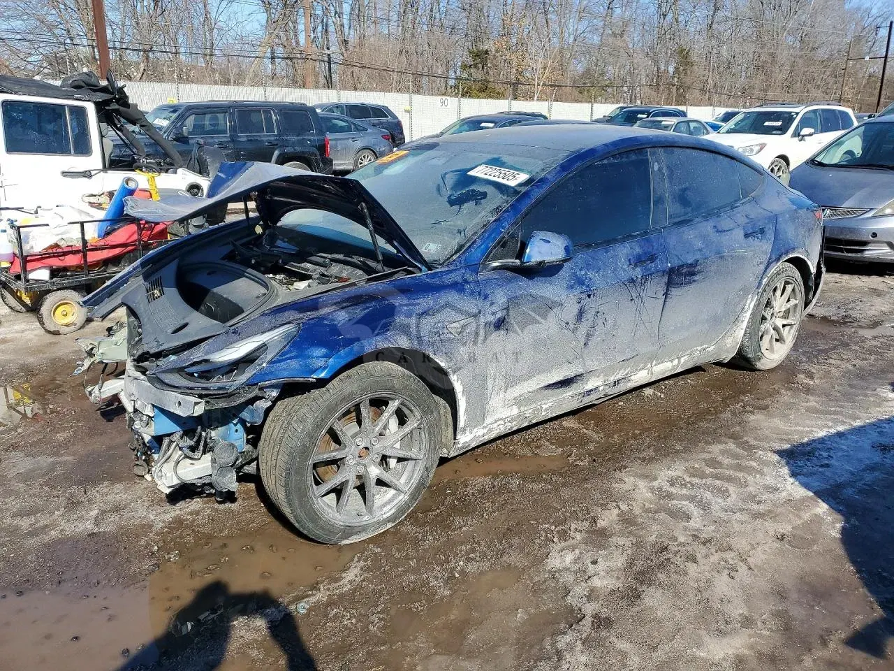 Tesla Model 3 2021