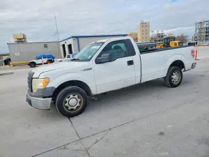 Ford F-150 4.6L 8 2010