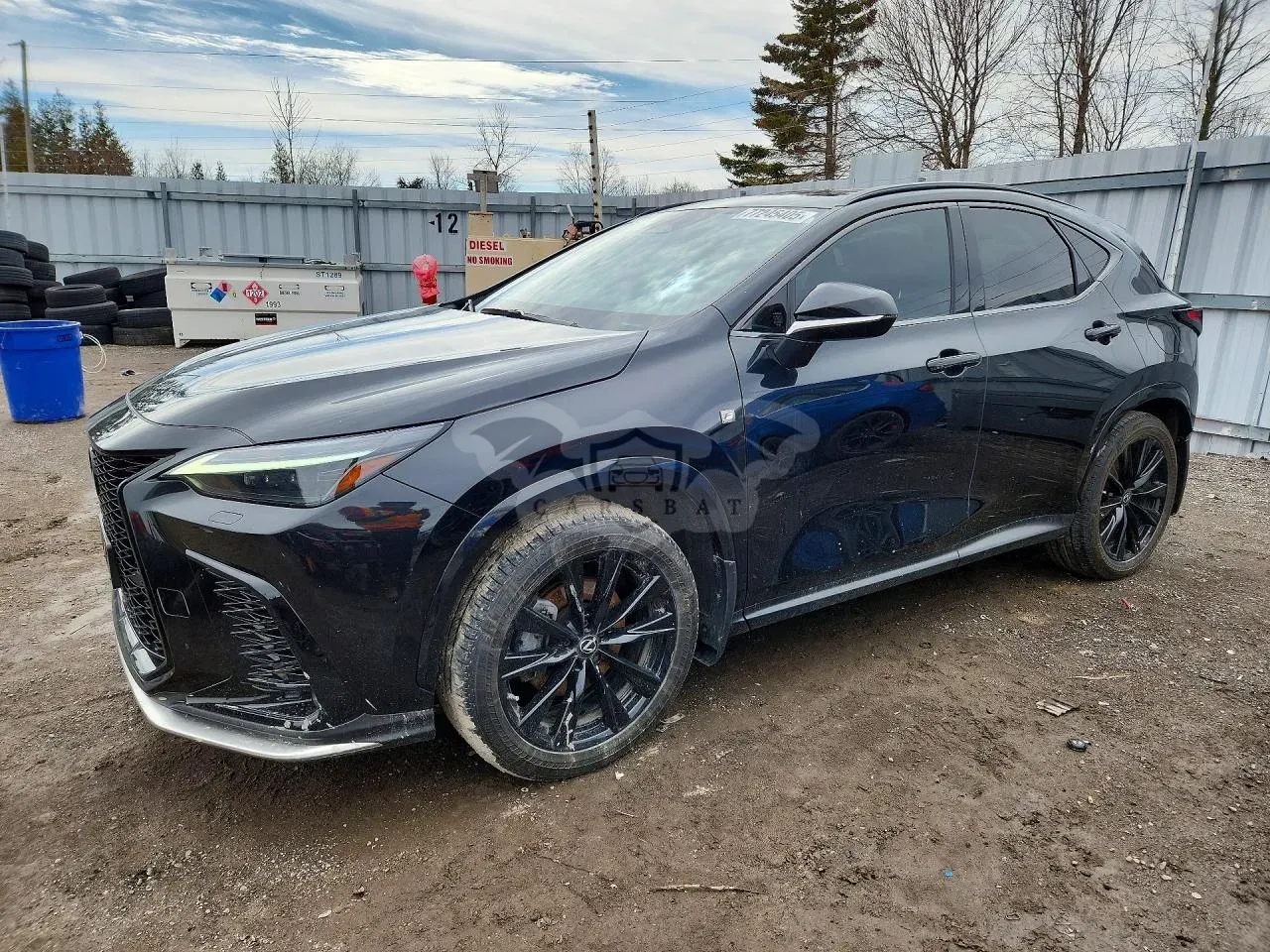 Lexus NX 2.4L 4 2022