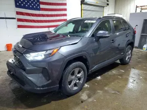 Toyota Rav4 2.5L 4 2024