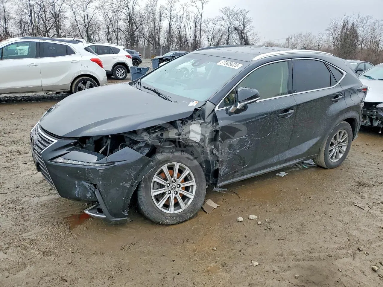 Lexus NX 2.0L 4 2018