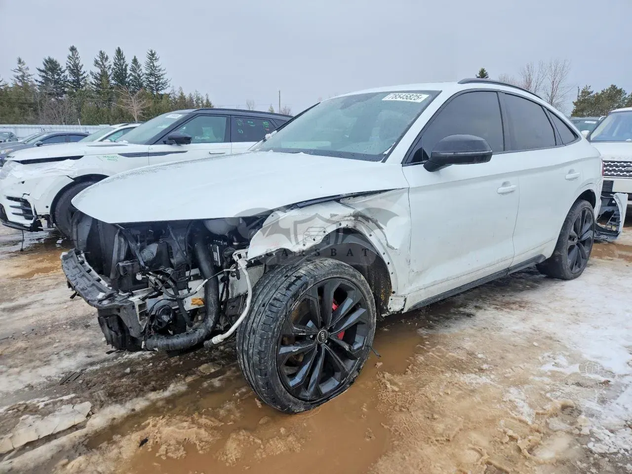Audi SQ5 3.0L 6 2023