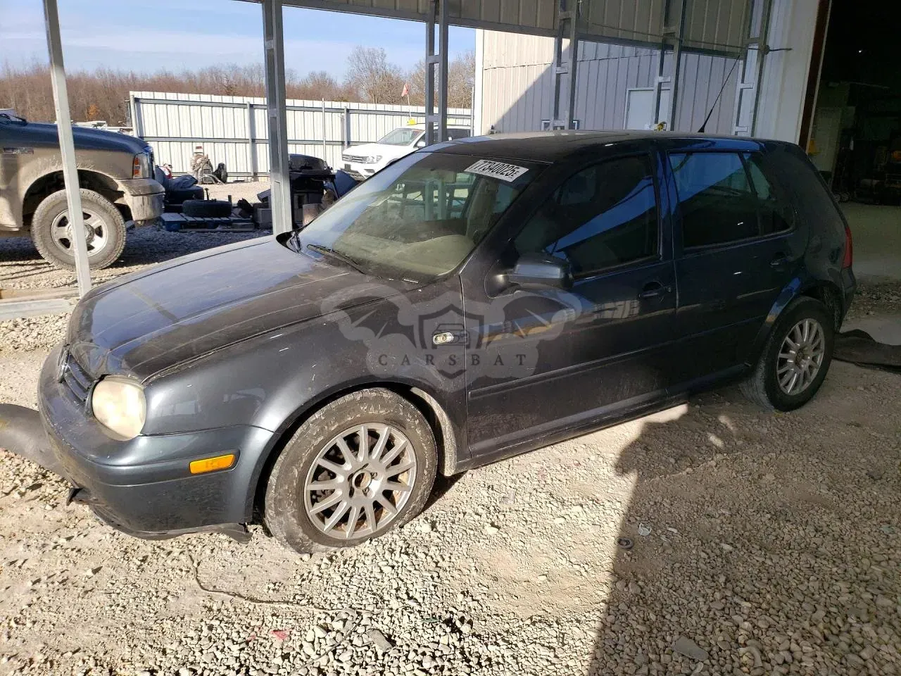 Volkswagen Golf GLS TDI 1.9L 4 2004
