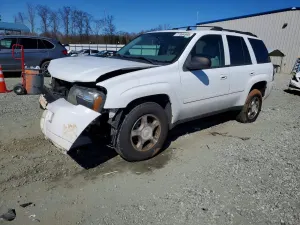 Chevrolet Trailblazer 4.2L 6 2008
