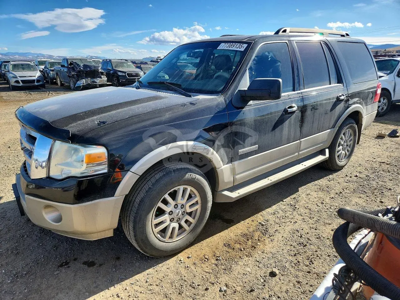 Ford Expedition EDDIE BAUER 5.4L 8 2008