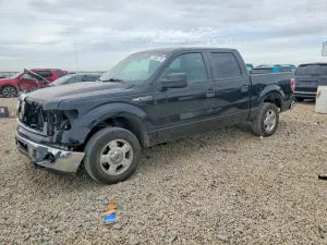 Ford F-150 SUPERCREW 5.0L 8 2013