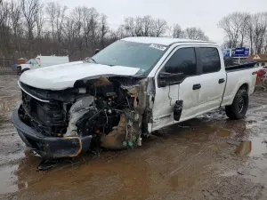 Ford F-250 SUPER DUTY 6.7L 8 2017