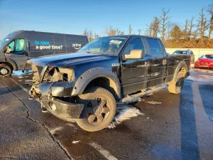 Ford F-150 5.4L 8 2007