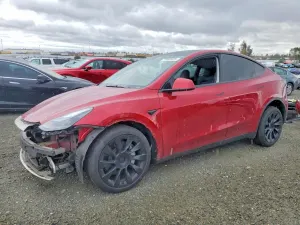 Tesla Model Y 2024