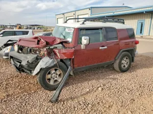 Toyota FJ Cruiser 4.0L 6 2008