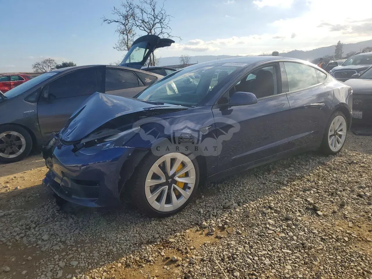 Tesla Model 3 2021