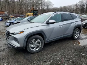 Hyundai Tucson 2.5L 4 2024