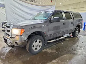 Ford F-150 5.0L 8 2014