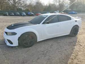 Dodge Charger SCAT PACK 6.4L 8 2019