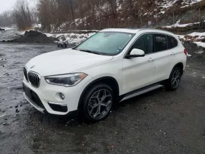 BMW X1 2.0L 4 2018