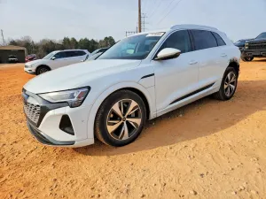 Audi Q8 e-tron 2024