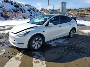 Tesla Model Y 2020