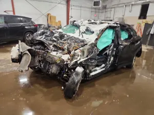 Hyundai Kona 2.0L 4 2019