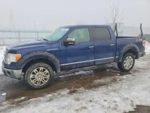 Ford F-150 SUPERCREW 5.4L 8 2009